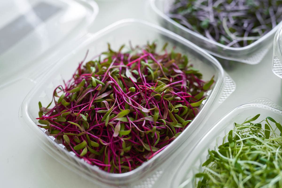 Vital Living Sprouts