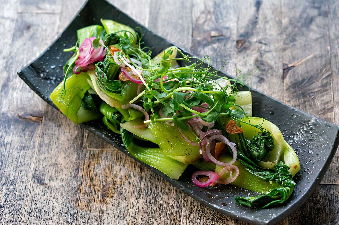 The best vegetarian-friendly restaurants in Miami