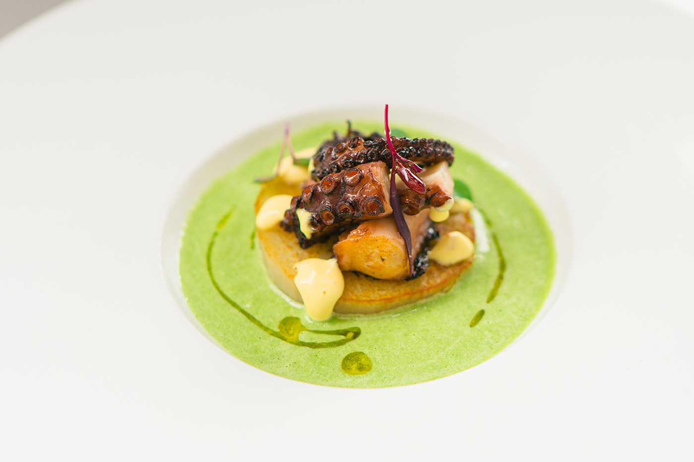 Costa Med - The Best Restaurants for Business Meetings in Miami