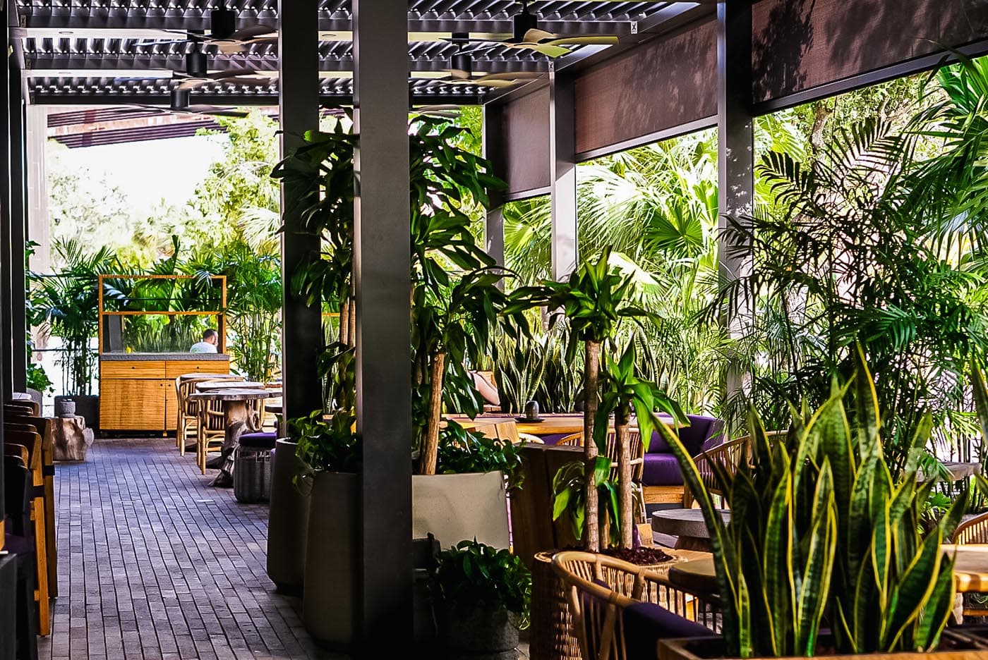 Tanuki River Landing