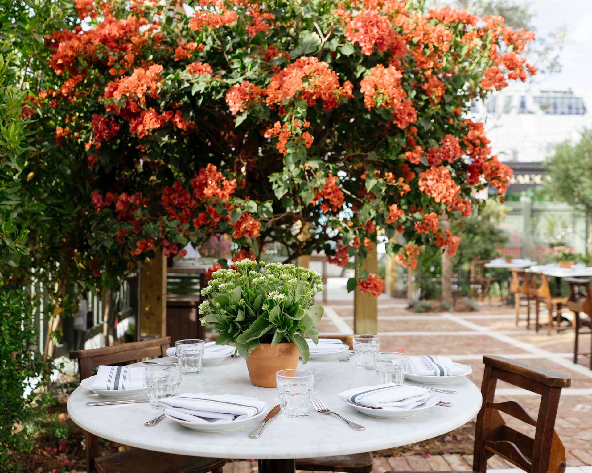 The Best New Restaurants in Miami [March 2025]