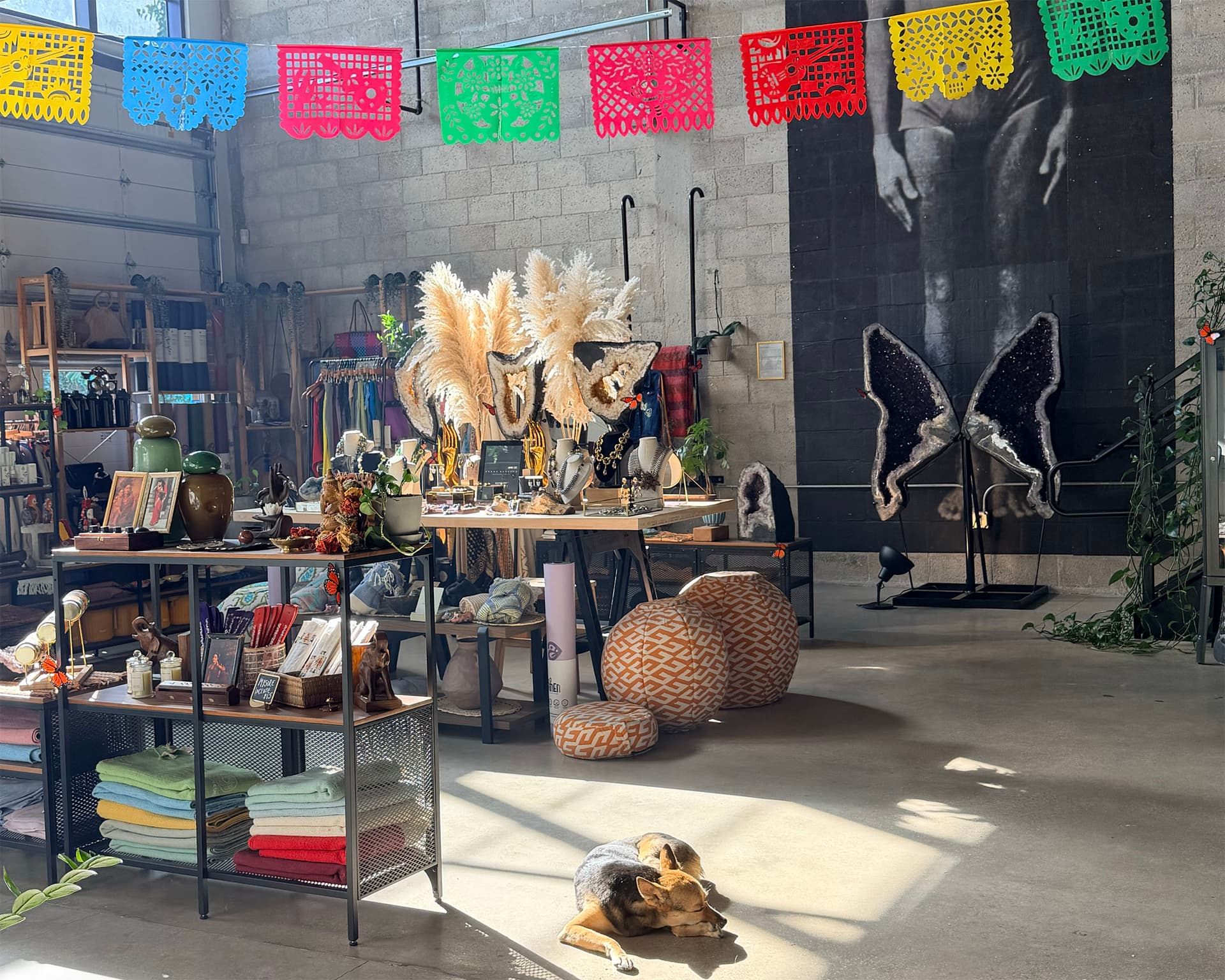 The Best Yoga Studios in Miami [By Neighborhood]