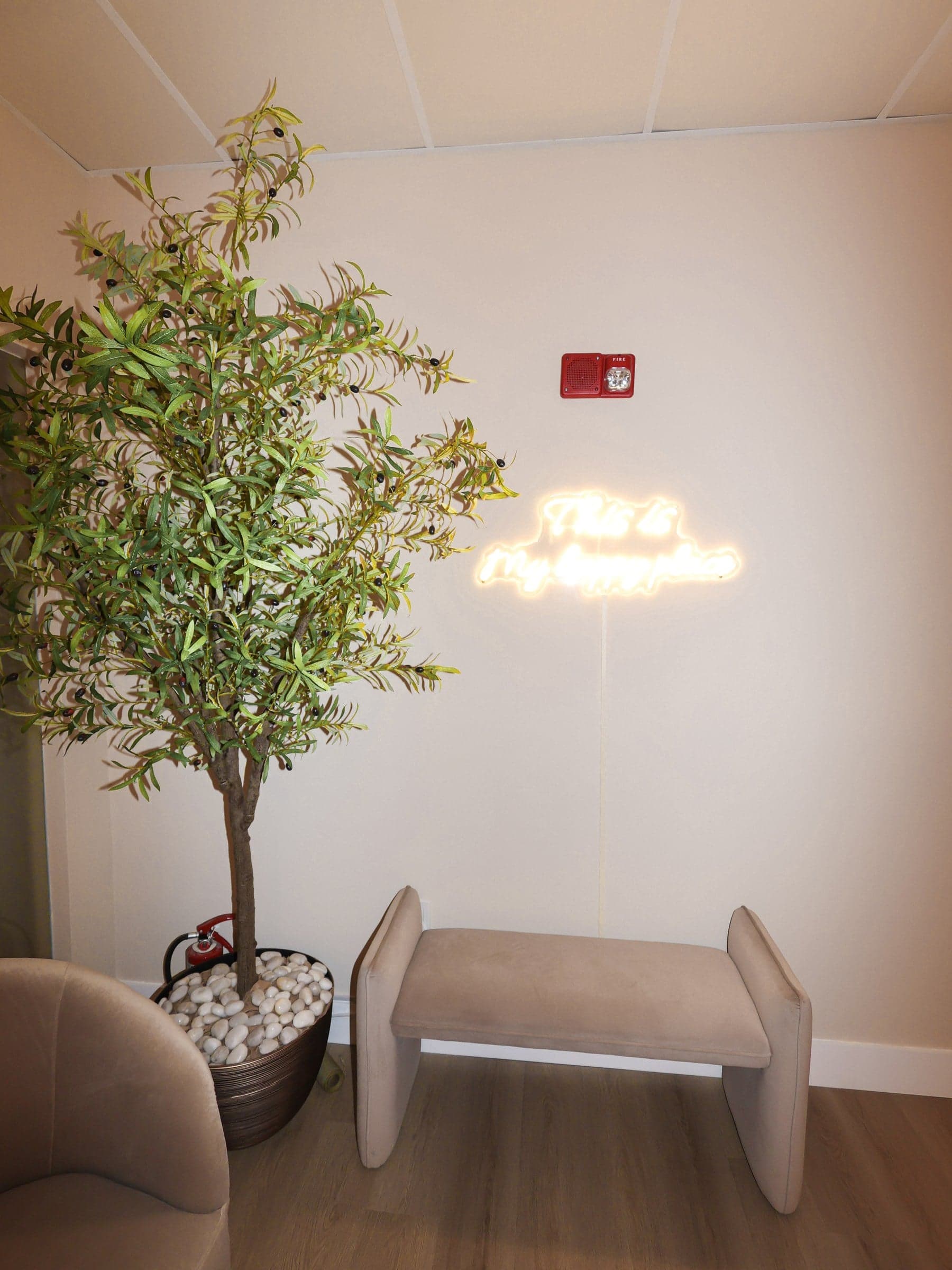 Waiting area with an olive tree, bench, and neon sign at Skin House of Beauty