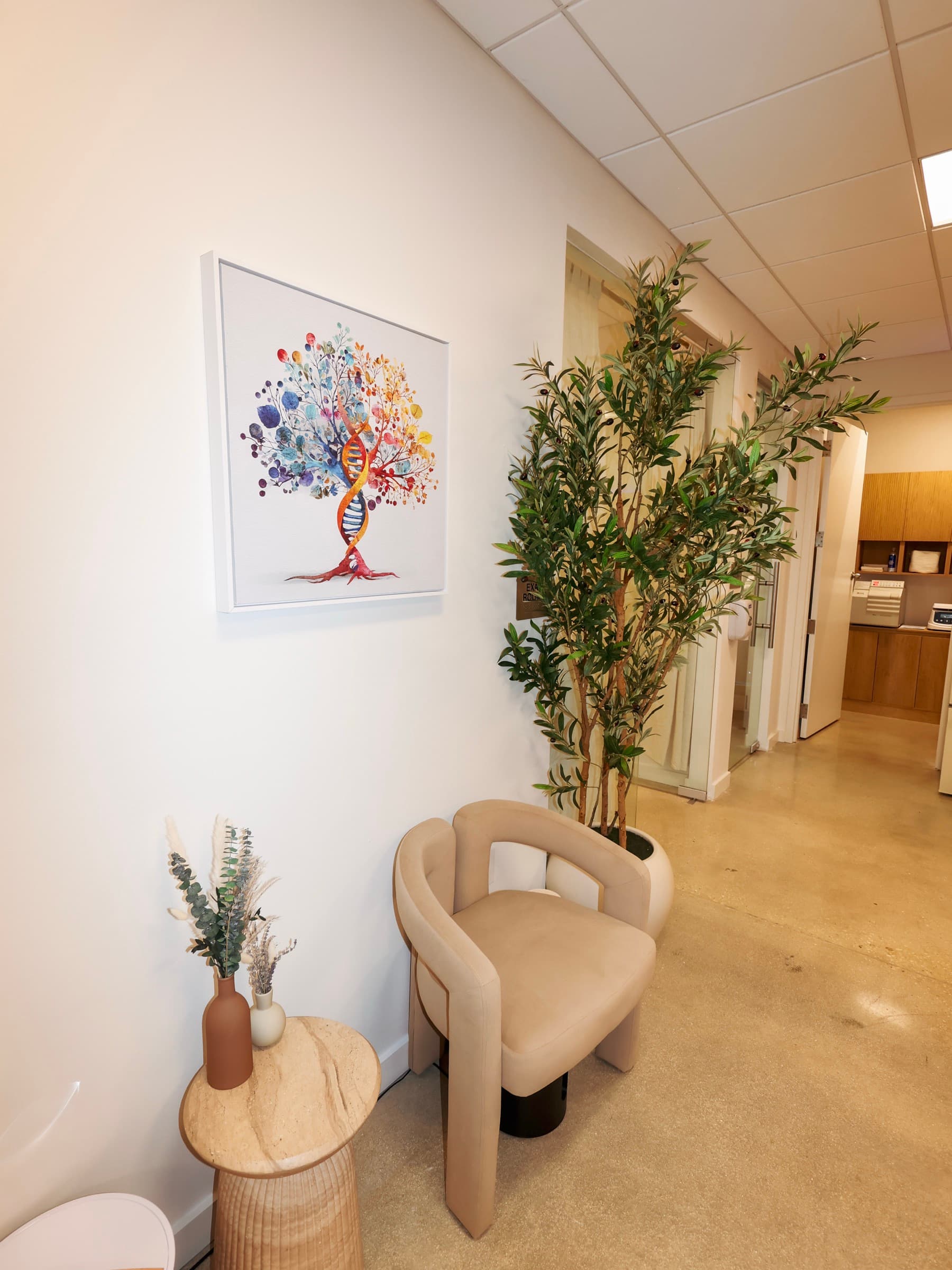 A waiting area at Evolve Longevity in Miami Beach, with a framed DNA-tree print and an olive tree beside a lounge chair.