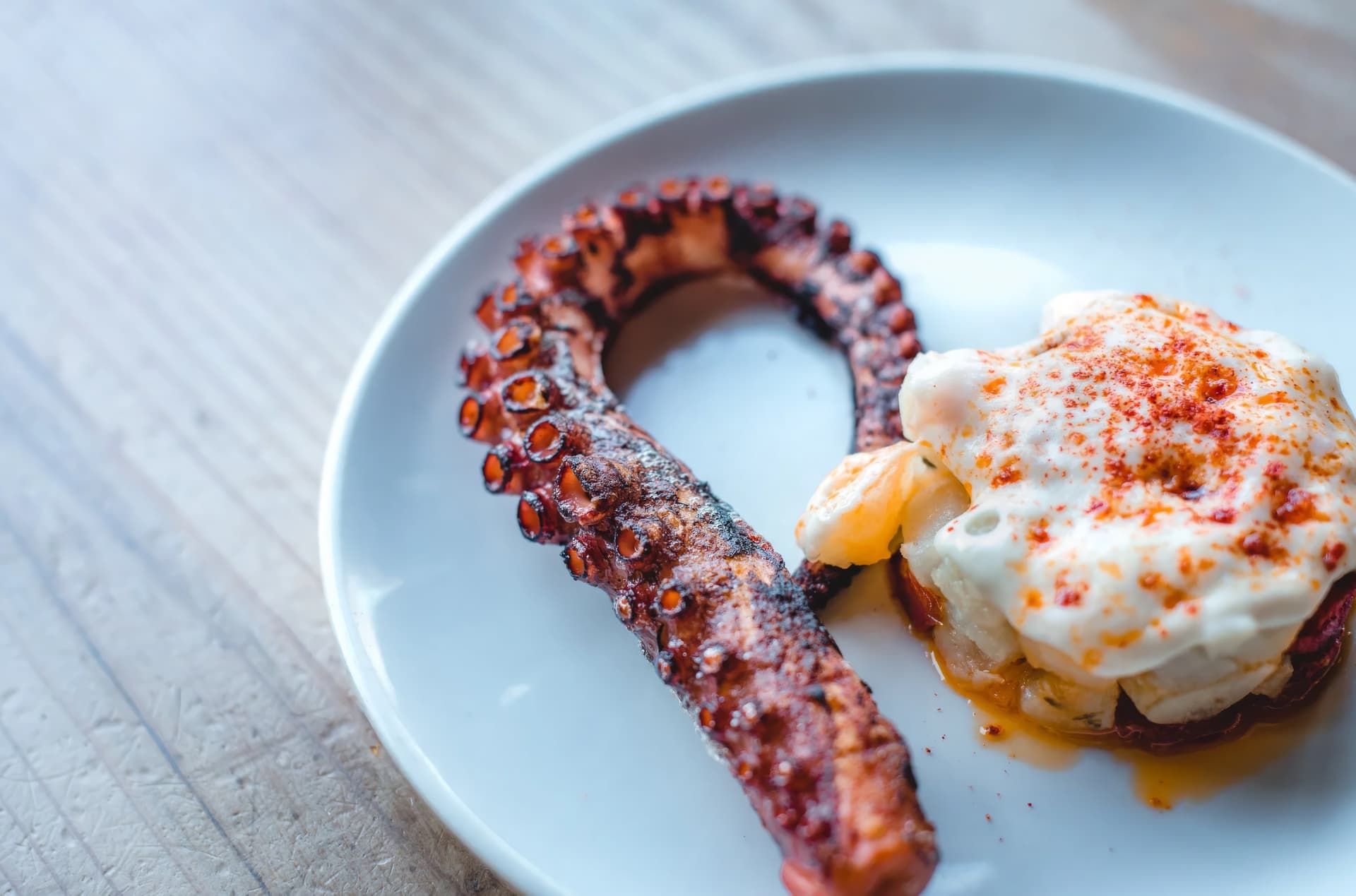 Grilled octopus at Barceloneta