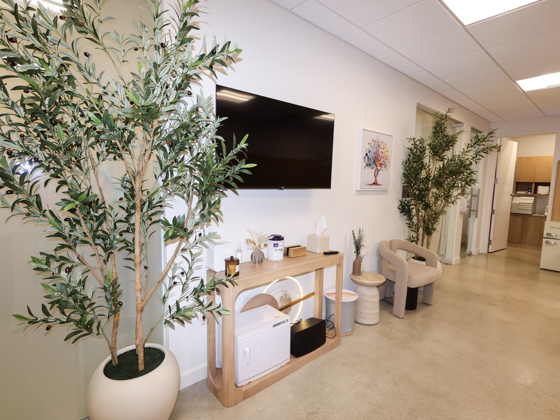 The lounge at Evolve Longevity in Miami Beach, with olive trees, a wall-mounted screen, and a hallway leading to the treatment rooms.
