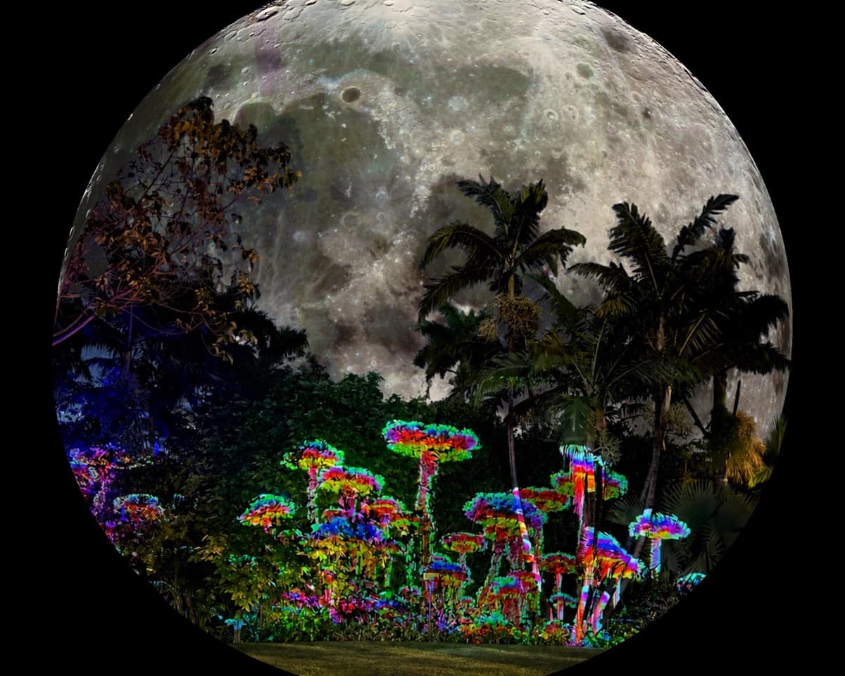 Full moon above illuminated tropical plants at Miami Beach Botanical Garden