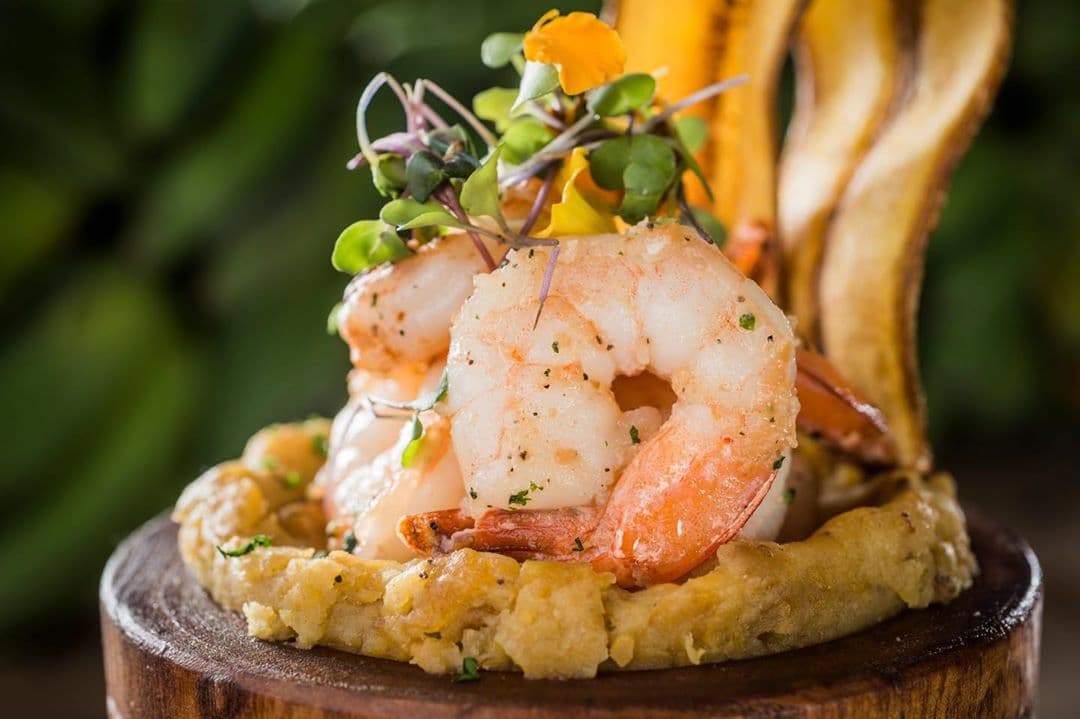 100x35 Cocina con Raíces