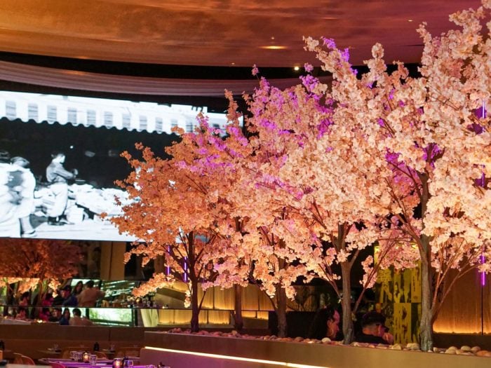 Paperfish - Interior